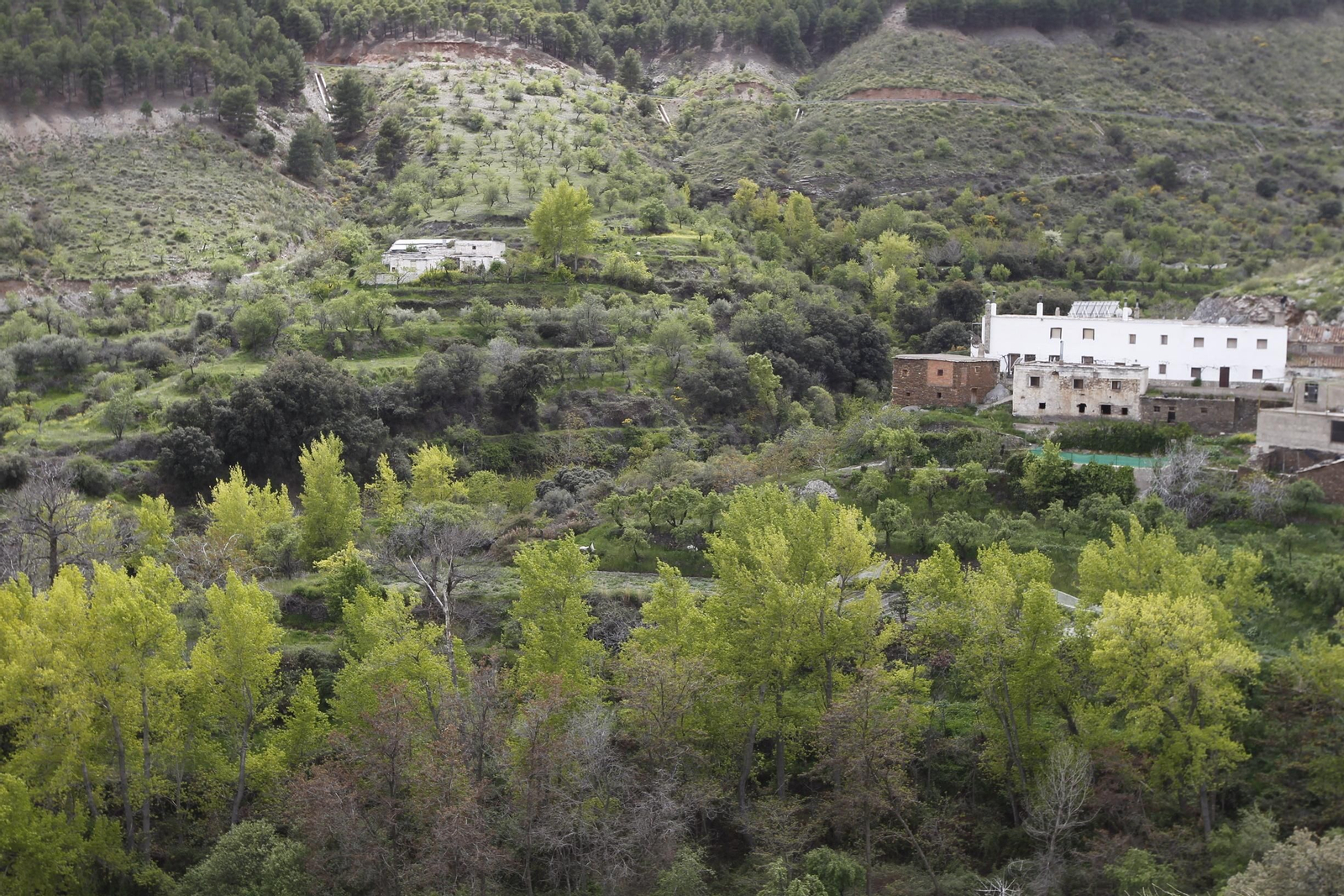 Naturaleza desconfinada. La Roza (Abrucena)