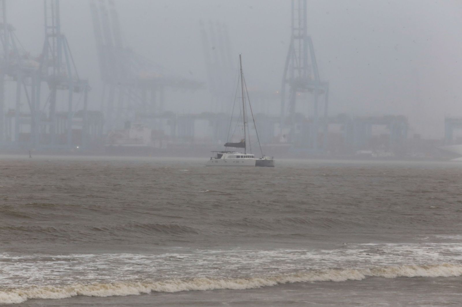 Fotografías de árboles caídos e inundaciones por la borrasca Leonardo
