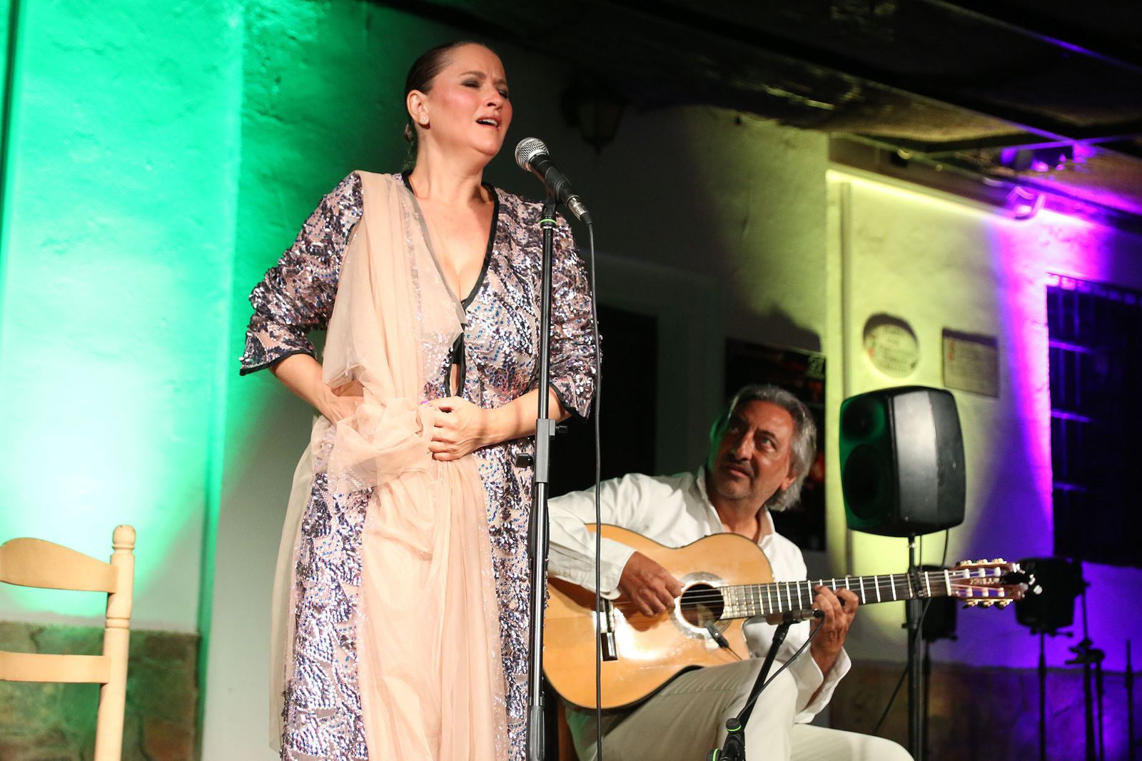 El XXXI Festival Flamenco de Fondón, en imágenes