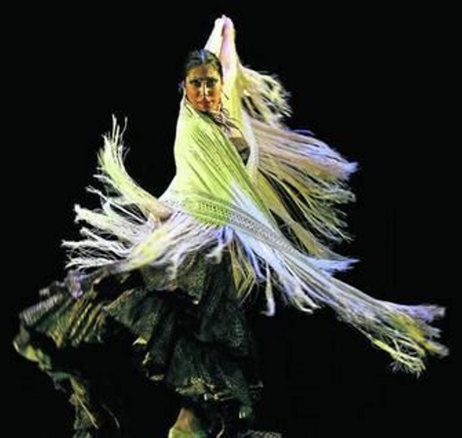 Fuensanta La Moneta lleva el 2 de marzo al Teatro Ciudad de Marbella el espectáculo 'Extremo Jondo'.