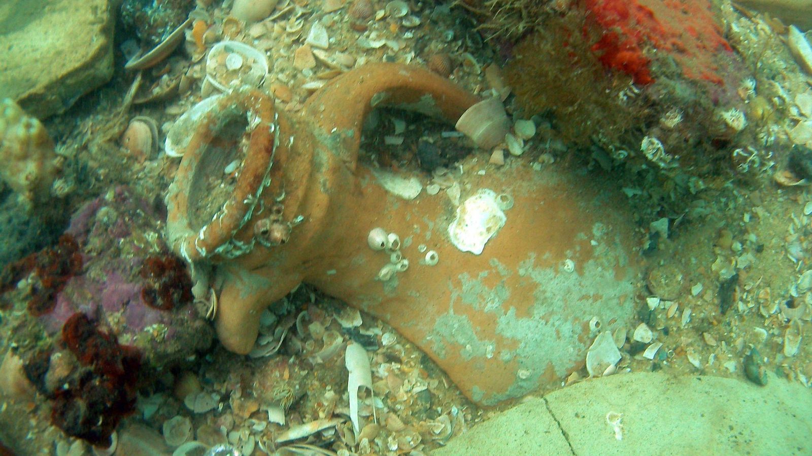 Ánforas y restos de cerámica romana en la ría del Carreras, en Isla Cristina. ARCHIVO CLAUDIO LOZANO