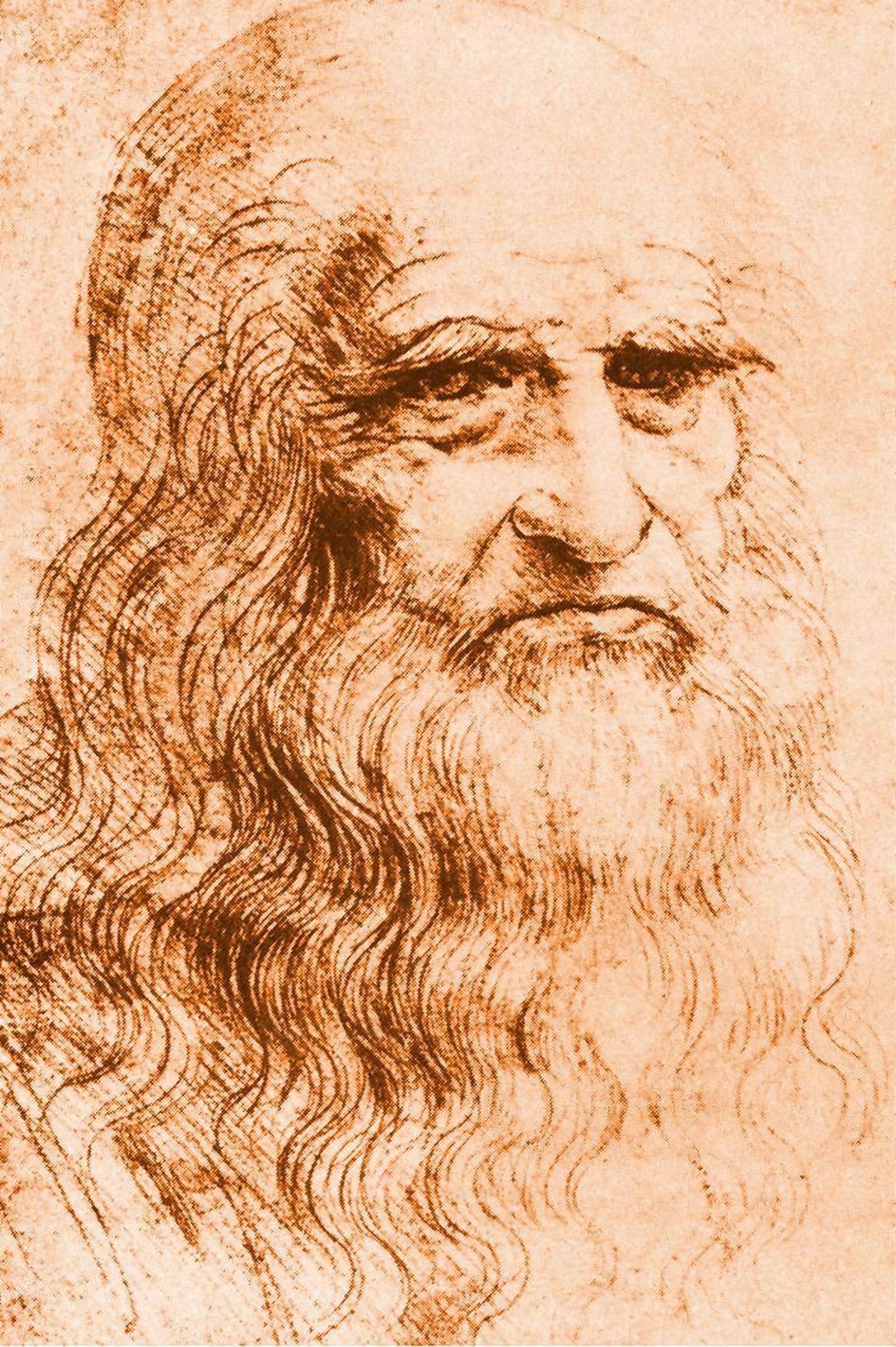 Da Vinci en diez obras