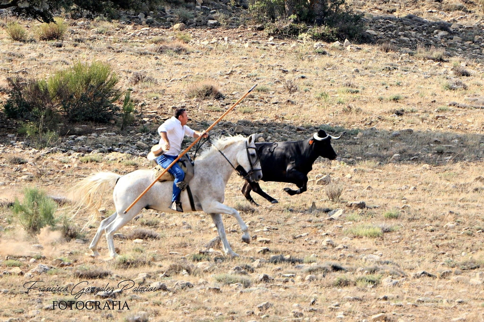 Saltos y fintas de vértigo en los encierros de Santiago de la Espada, en imágenes