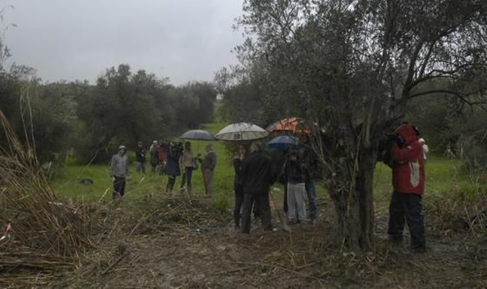 Vecinos y medios siguieron al abuelo de Marta con paraguas y chubasqueros para continuar con la búsqueda de la joven.

Foto: Manuel Gómez