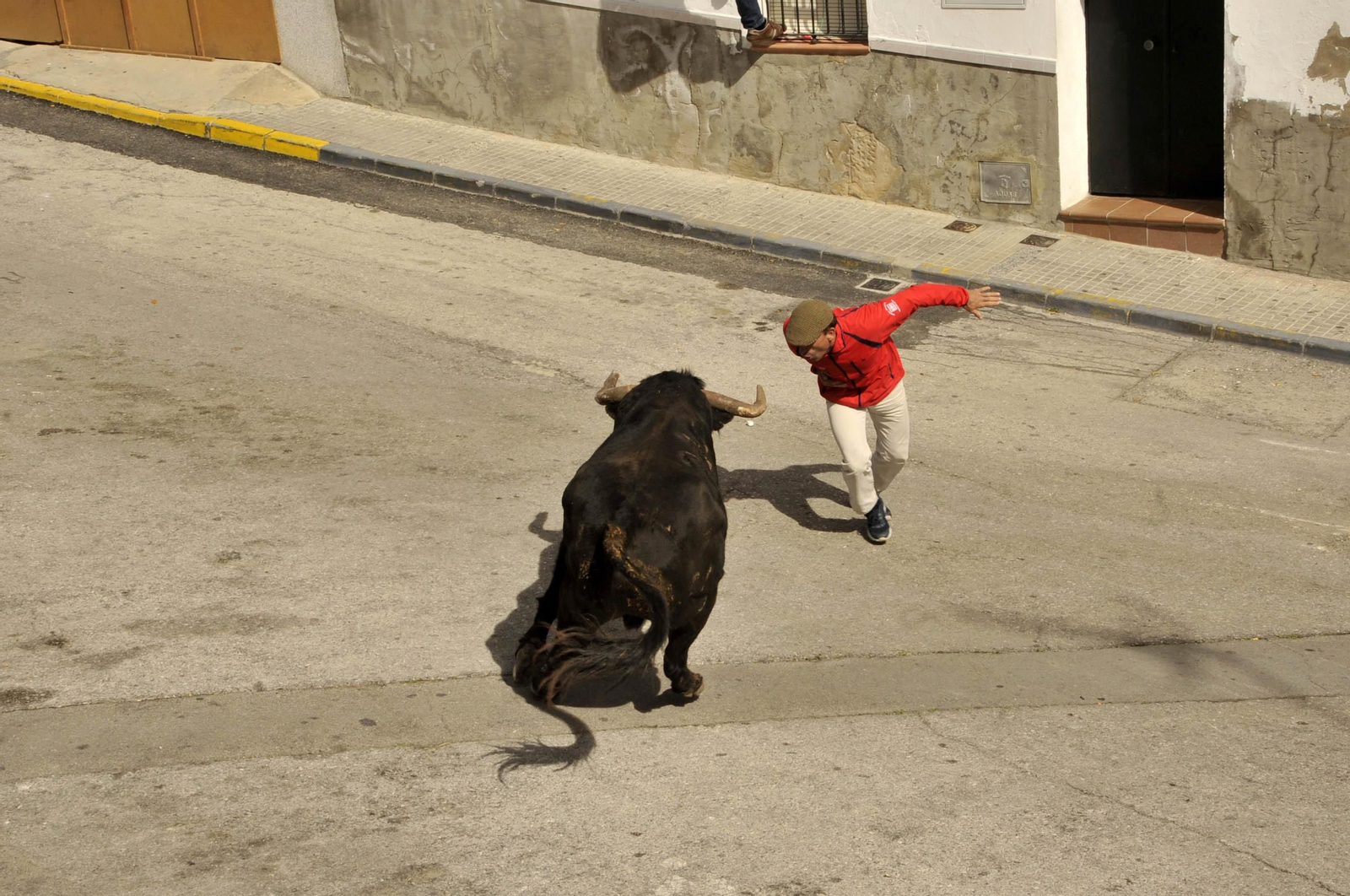 Imágenes del Toro del Aleluya en Arcos