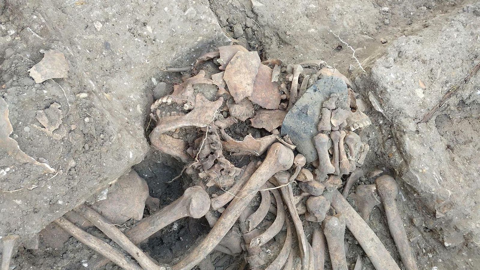 Los restos de dos de los cinco cuerpos encontrados durante las catas. Los restos de dos de los cinco cuerpos encontrados durante las catas.