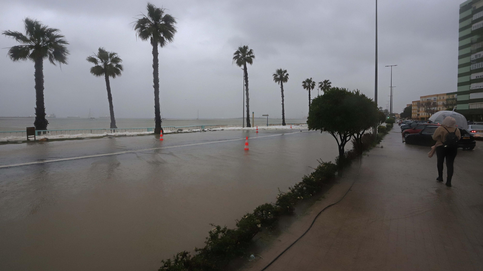Fotos de los destrozos del temporal de levante en La Línea