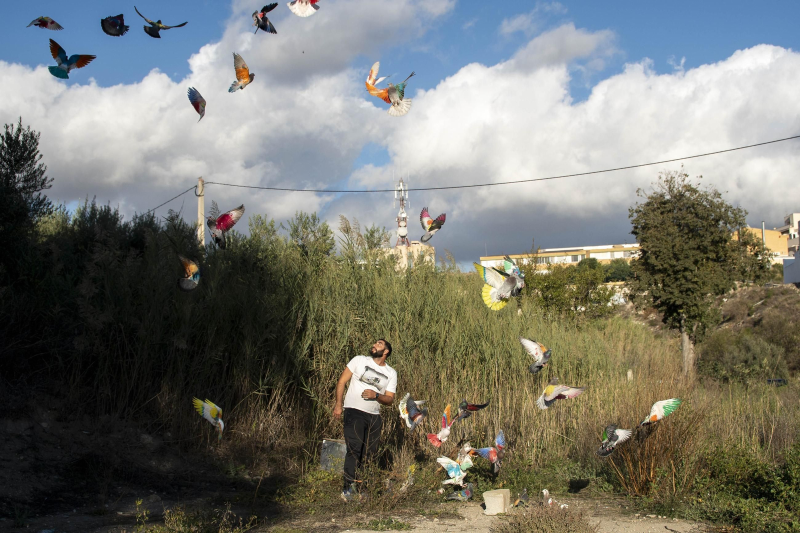 Las mejores imágenes de la suelta de palomos en la Feria de Albox