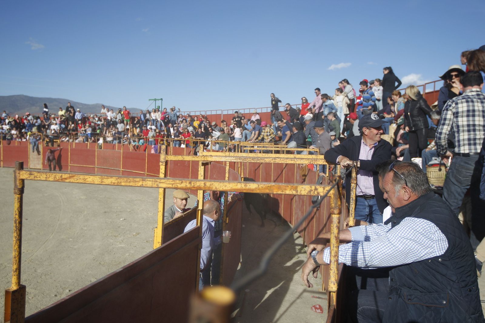 Fotogalería Festival Taurino Mixto. Fiestas de Abrucena.
