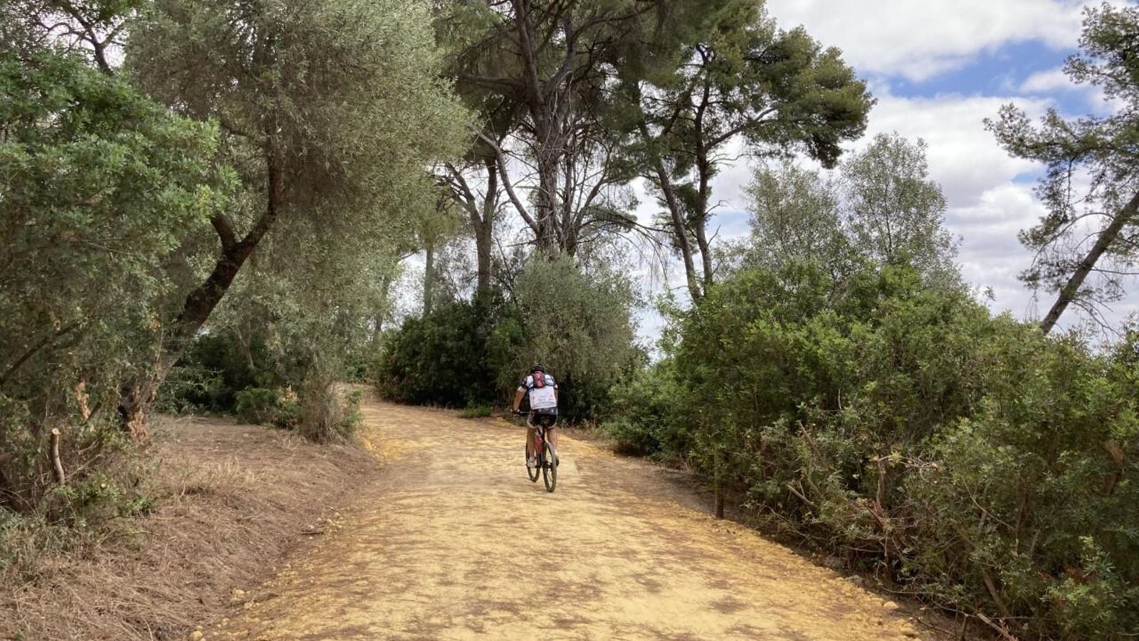 Un ciclista por el mismo corredor verde de la Cornisa del Aljarafe.
