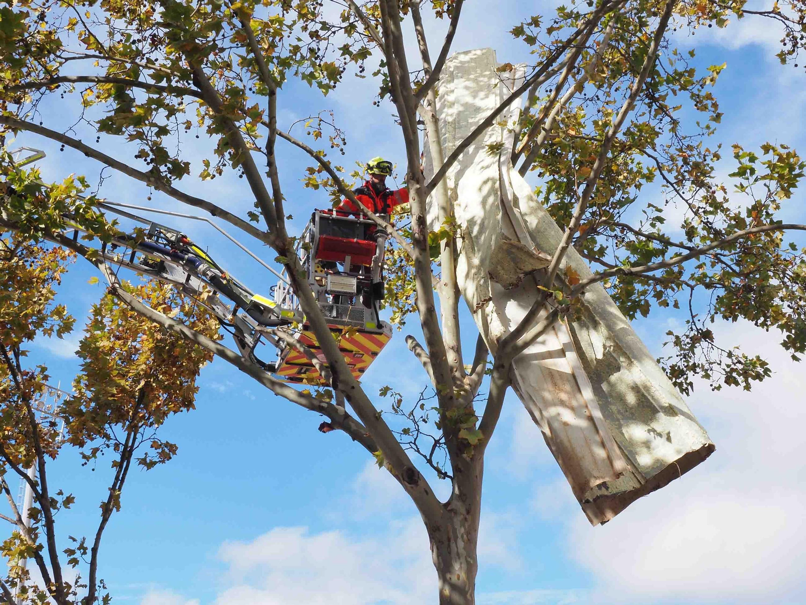 Bomberos desenganchan un trozo de techumbre enredado entre las ramas de un árbol