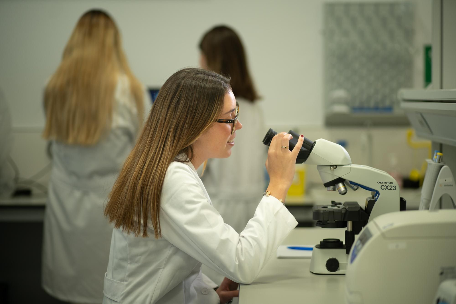 Universidad de Loyola