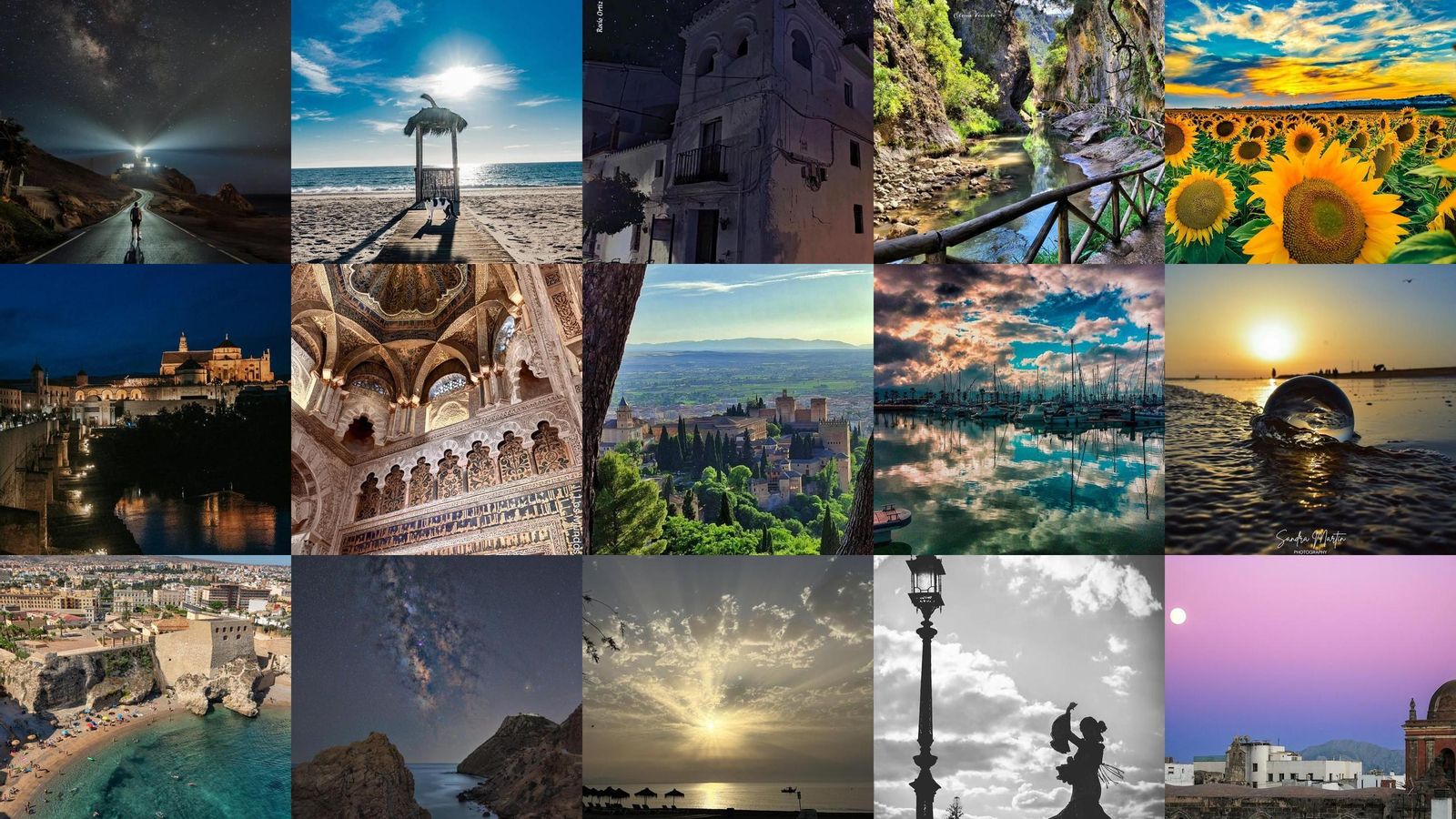 El mosaico con todos los finalistas.