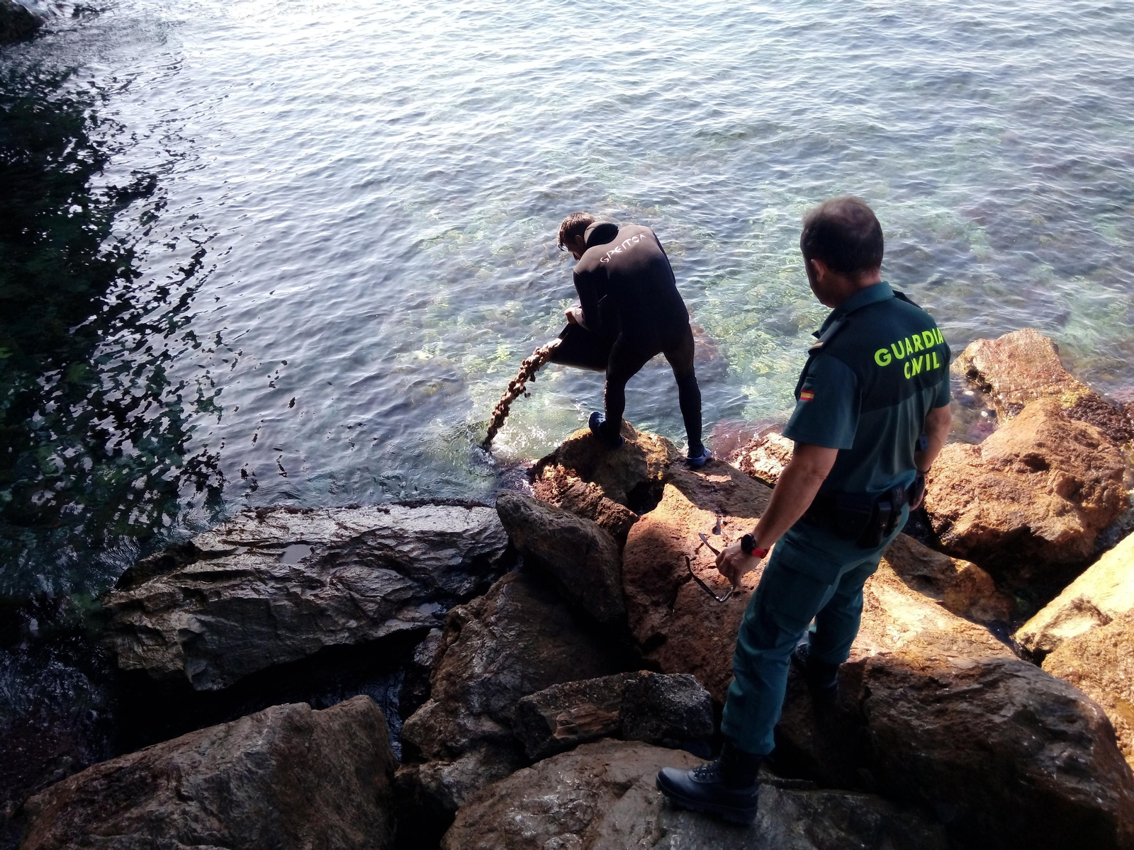 Los operarios del Seprona