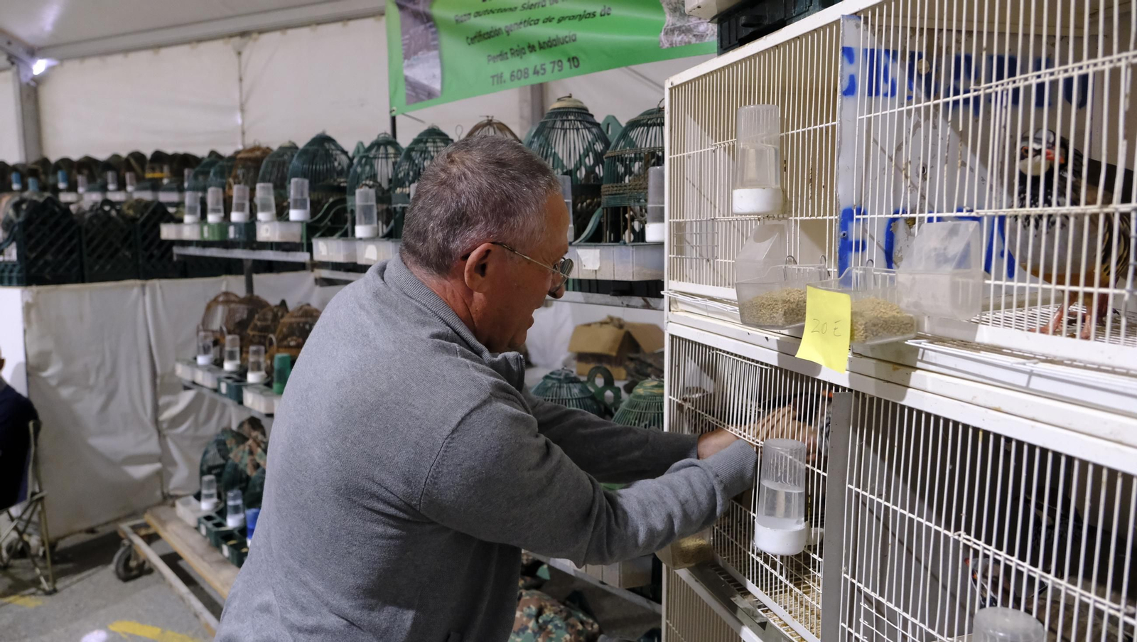 Las fotos de la Feria del Ganado y del Pájaro Perdiz en Albox