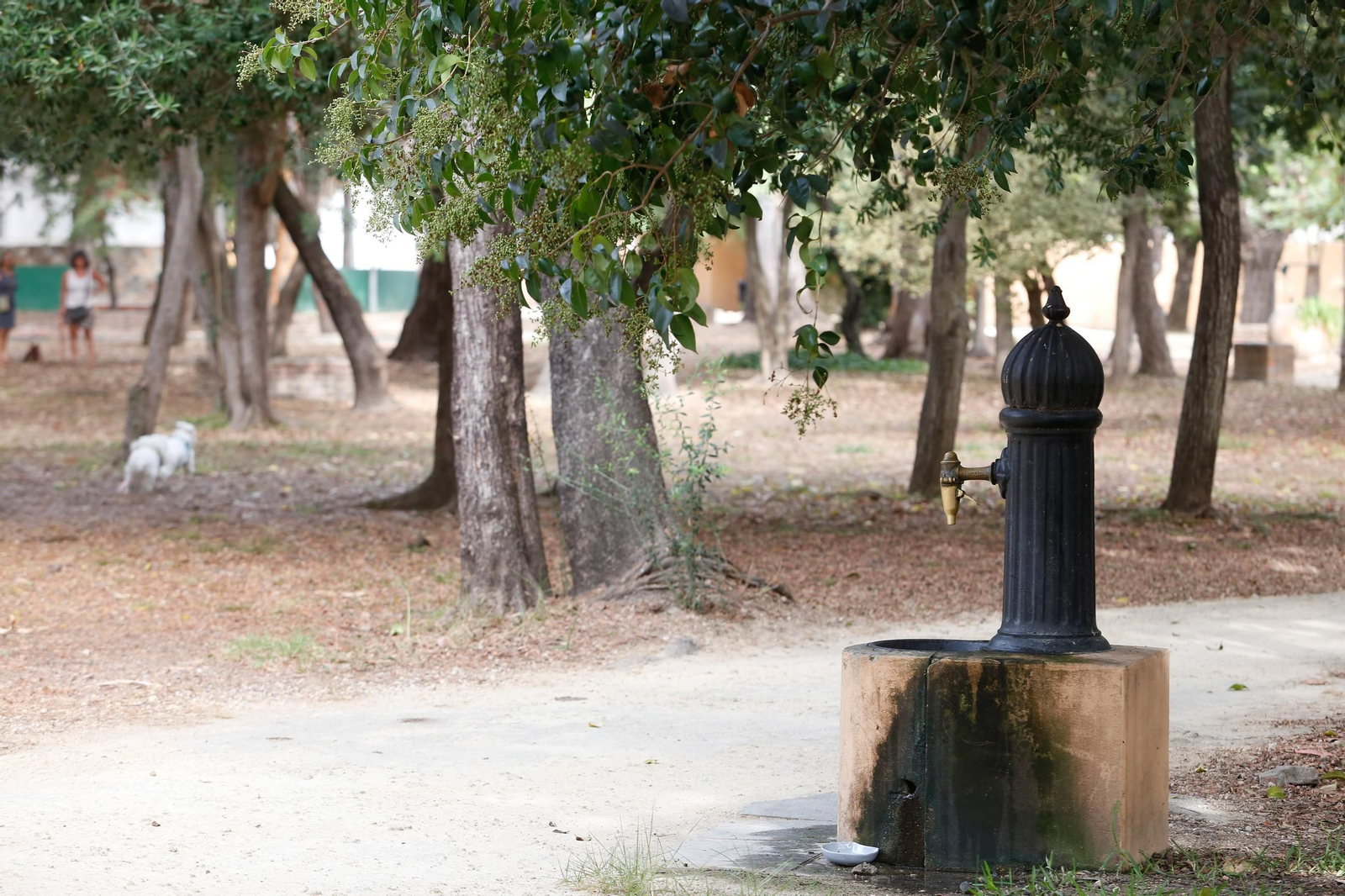 Fotos del Parque de las Acacias, en Villa Smith