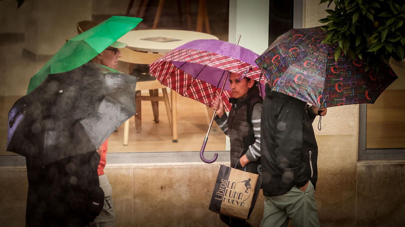 Varias personas caminan bajo la lluvia con paraguas por la calle Larga