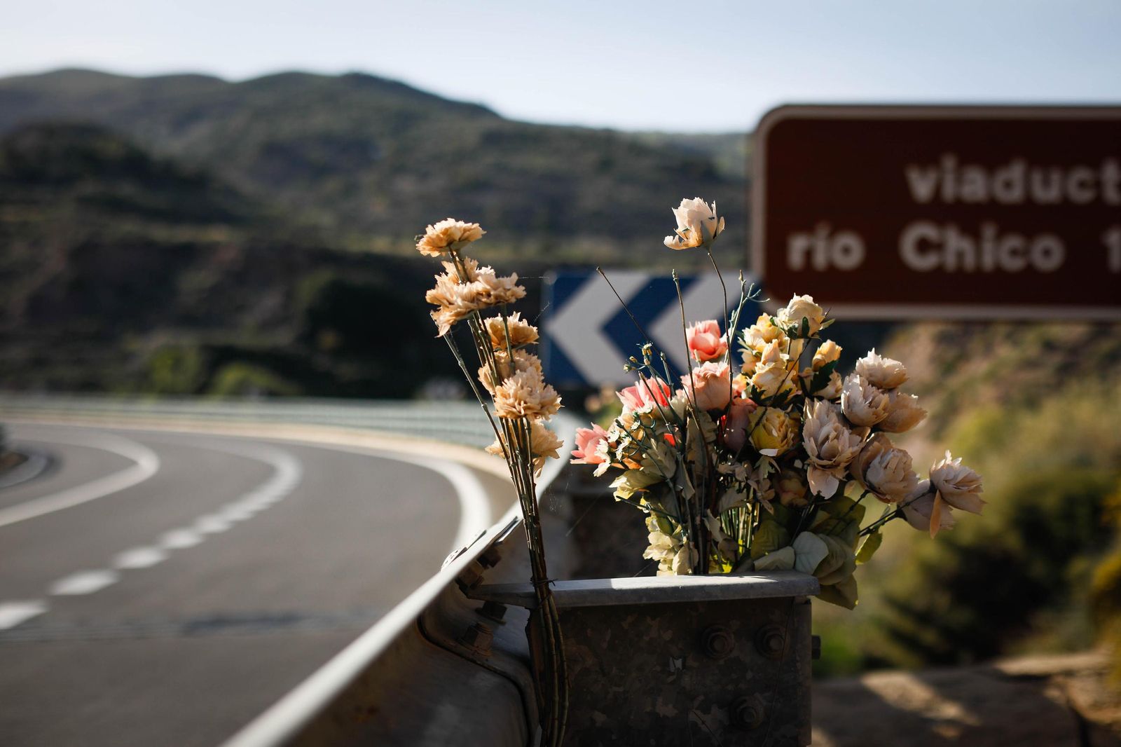 Imagen de archivo de flores en quitamiedos.