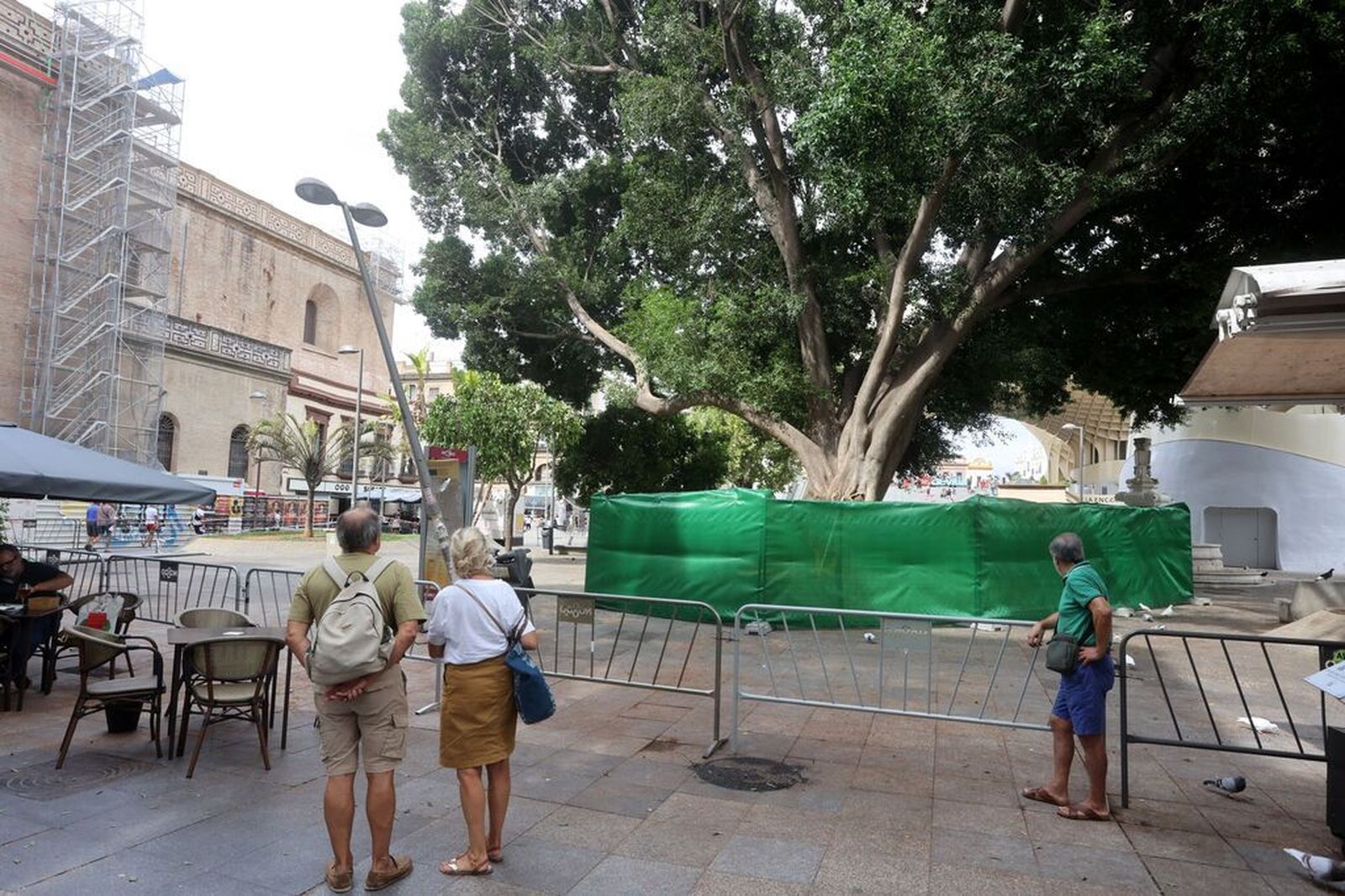 Tres personas observan el estado del ficus y el mobiliario urbano tras desprenderse una parte del árbol.