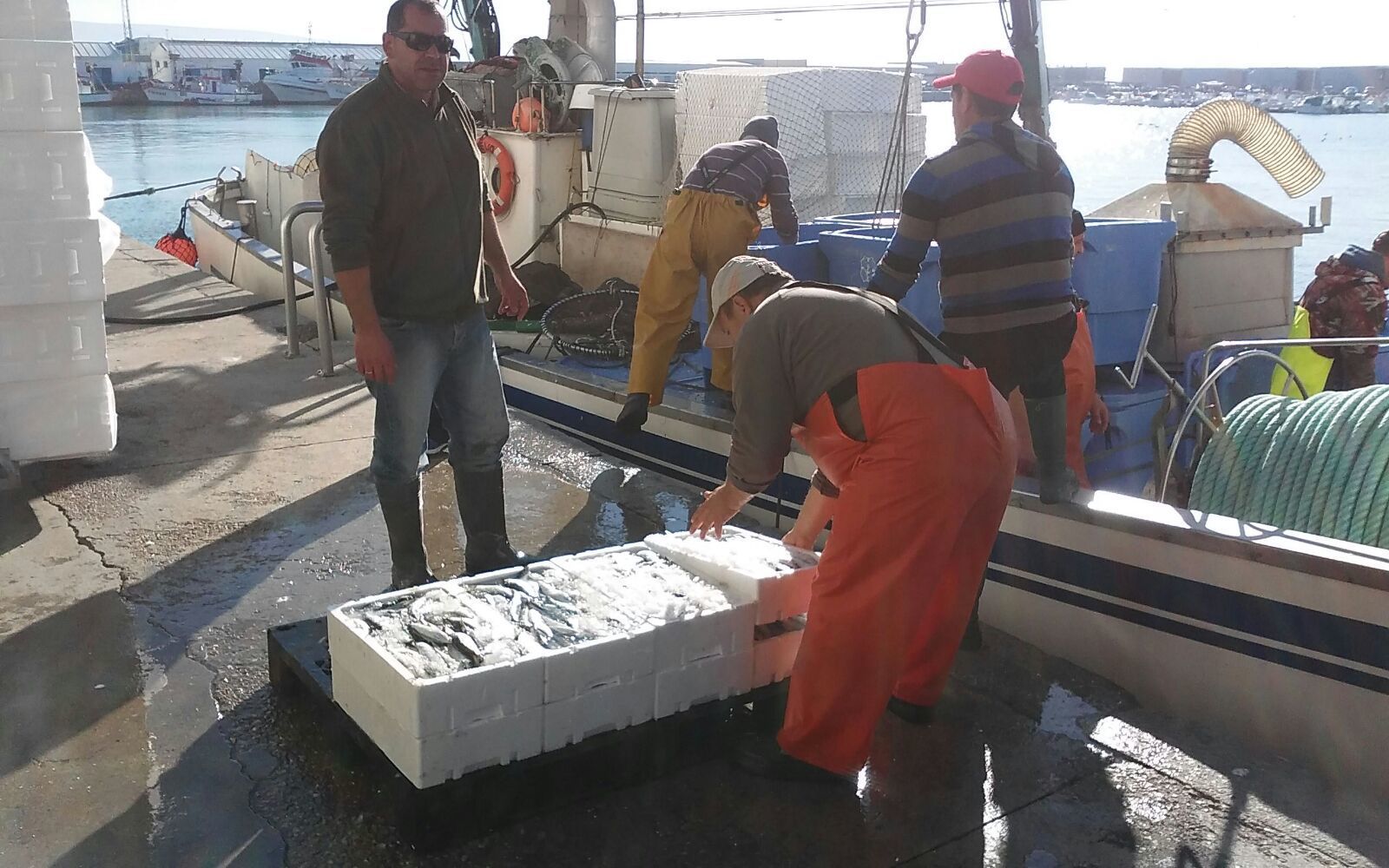 Pescadores de Barbate descargan la captura.