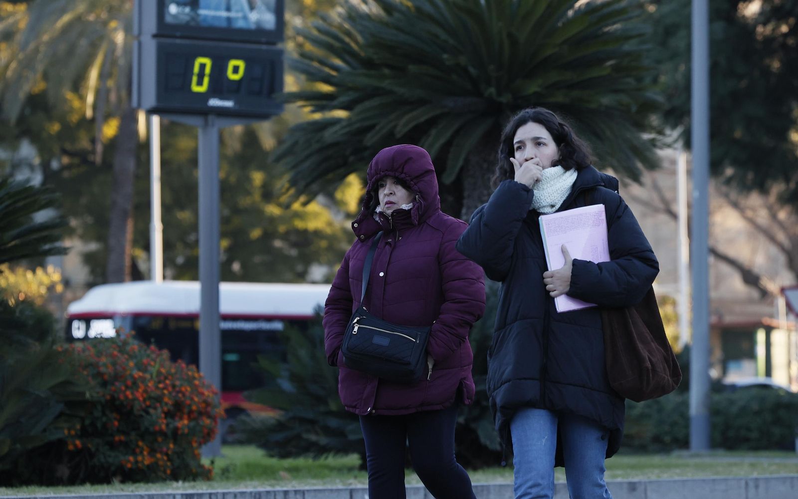 Las fotos del frío en Sevilla
