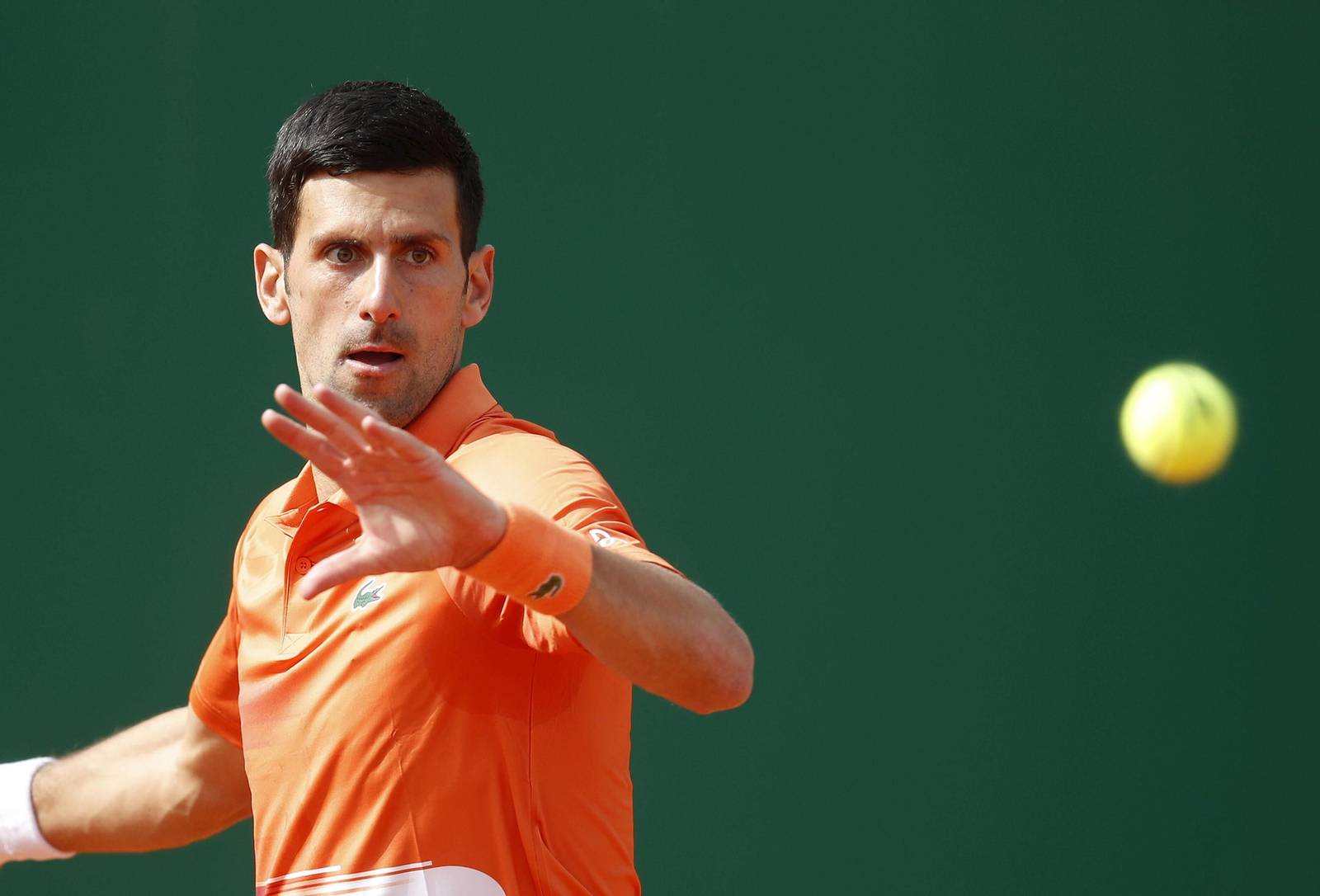 Las fotos del Djokovic-Davidovich