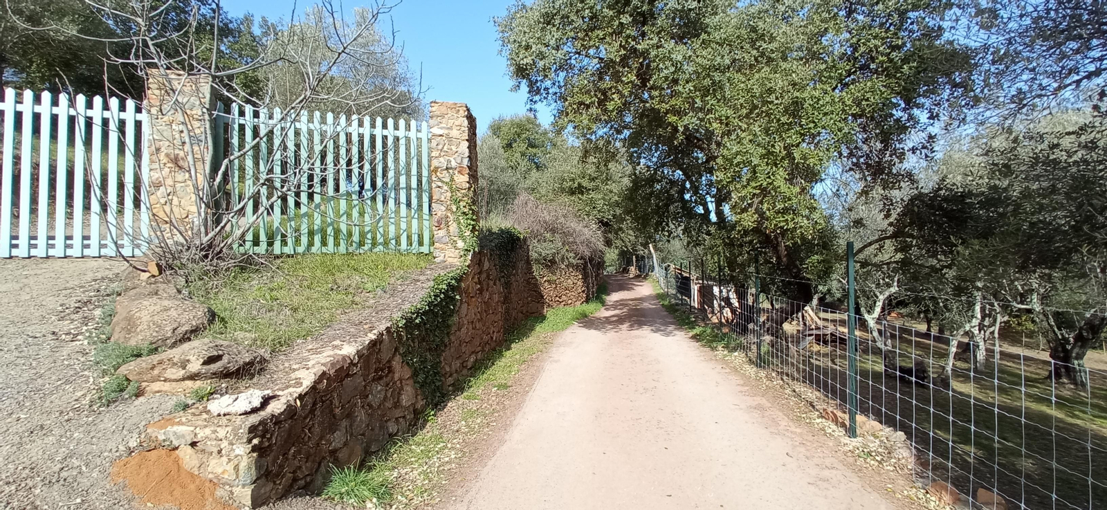 Las imágenes de la ruta de la Dehesa de Valdelama: De Los Marines a Fuenteheridos y vuelta