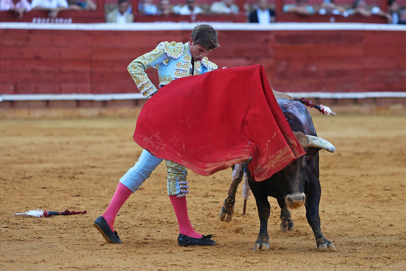 Toros La Merced 2024 Novillada con picadores(