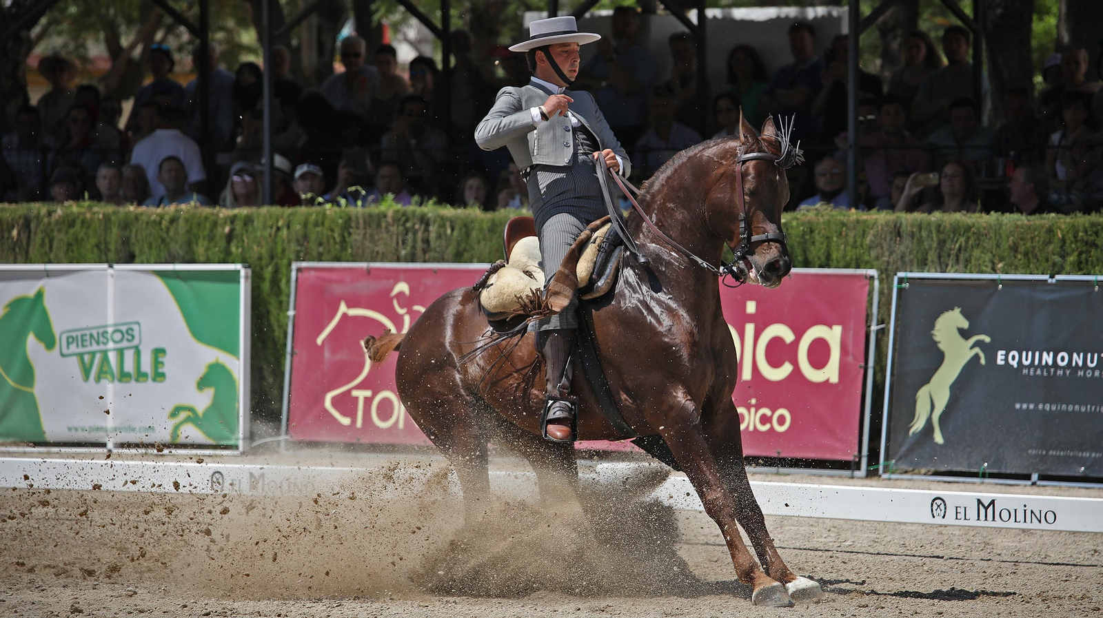 Resumen en imágenes de la Feria del Caballo 2022