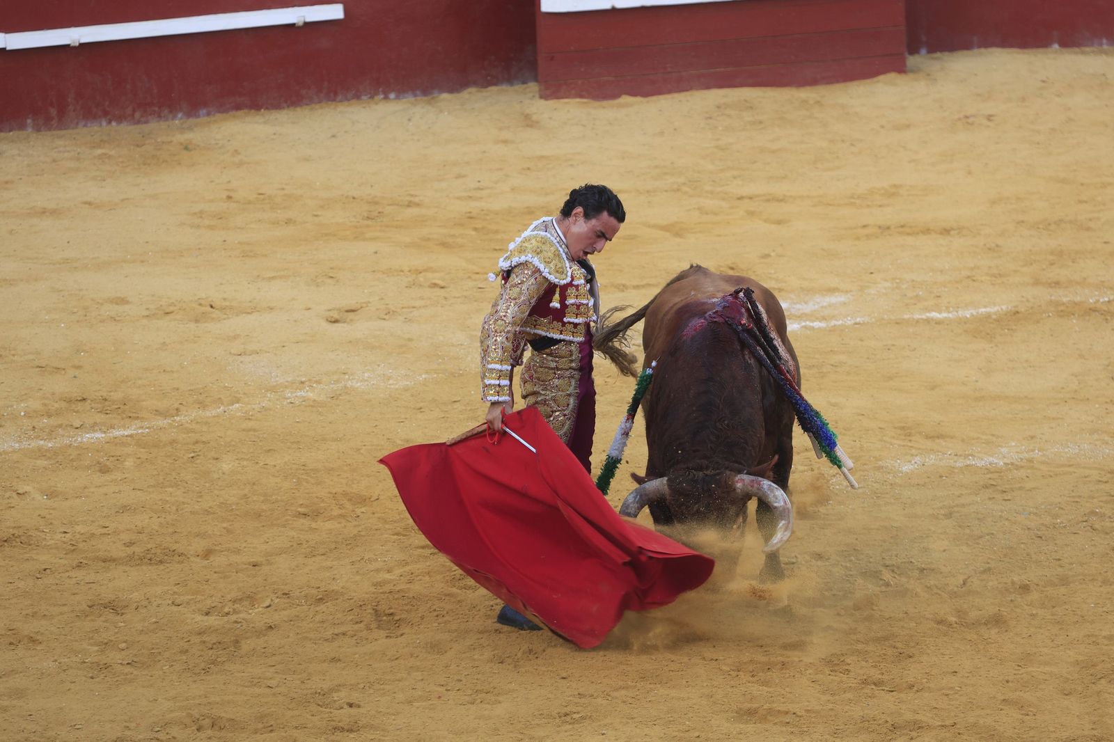 Fotos de la corrida de toros de la Feria de San Roque con David Galván, Román y Joaquín Galdós