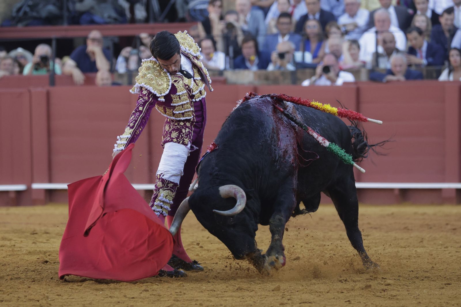 Las imágenes del festejo