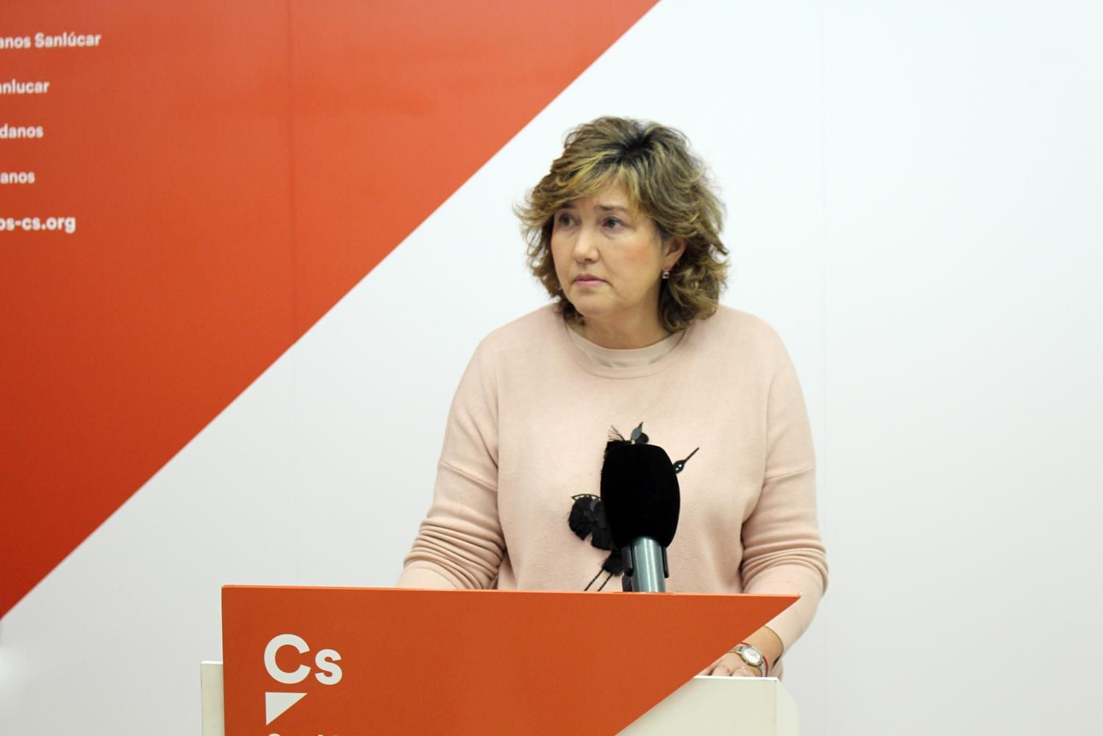 La concejala de Ciudadanos María del Carmen Ruiz, en la sede local del partido. La concejala de Ciudadanos María del Carmen Ruiz, en la sede local del partido.