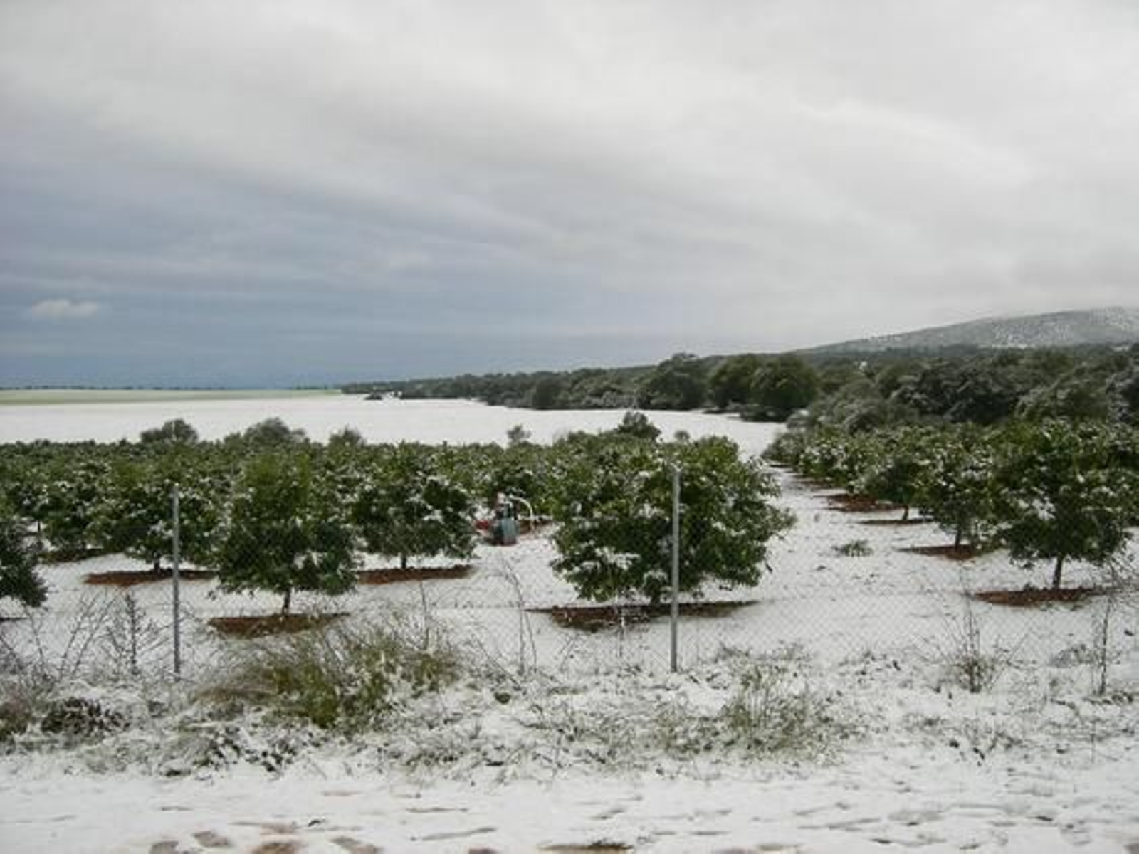 Nieve en Peñaflor./ José Manuel Higuera
