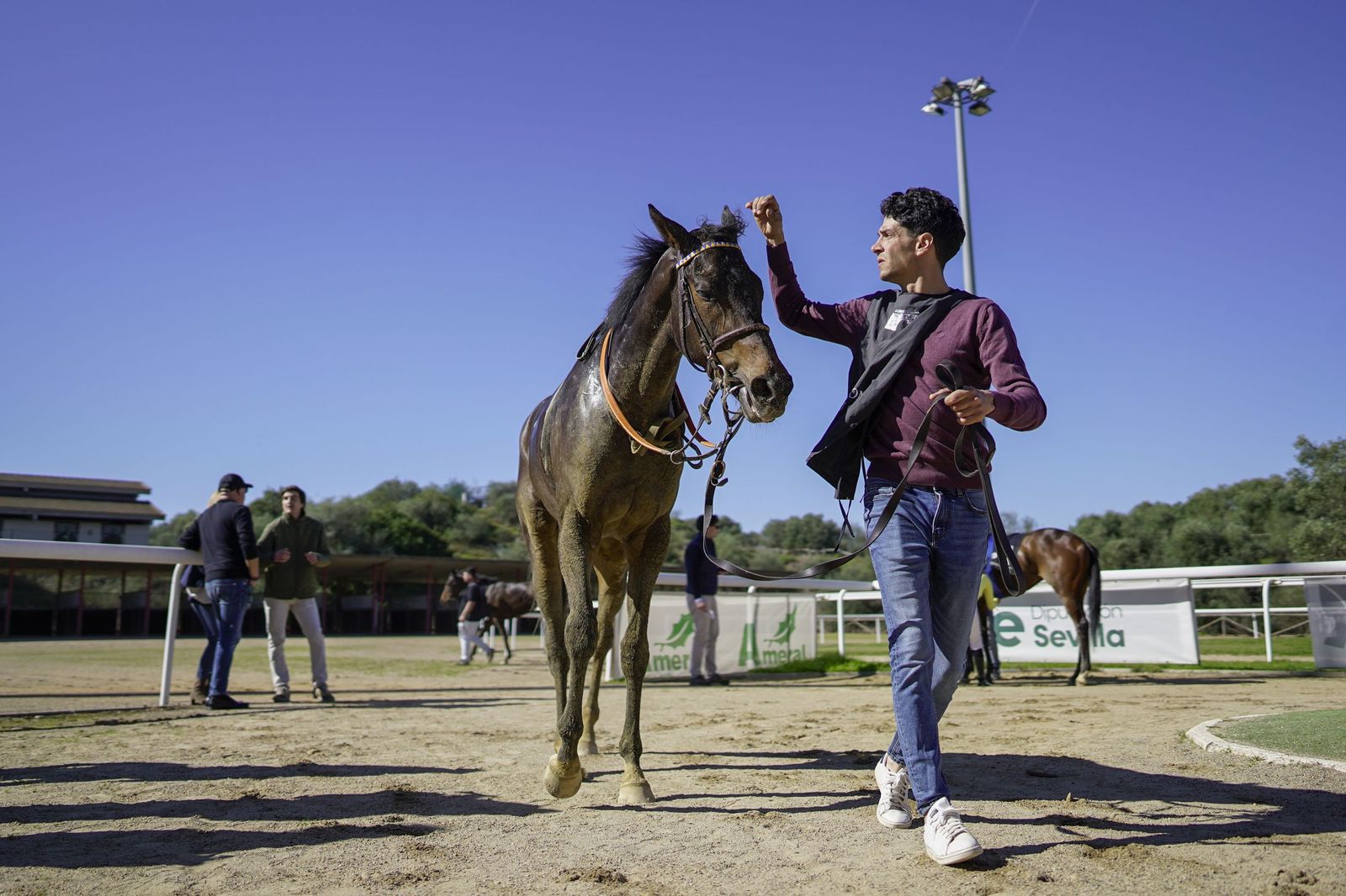 Las fotos del Premio Diario de Sevilla en el hipódromo de Dos Hermanas
