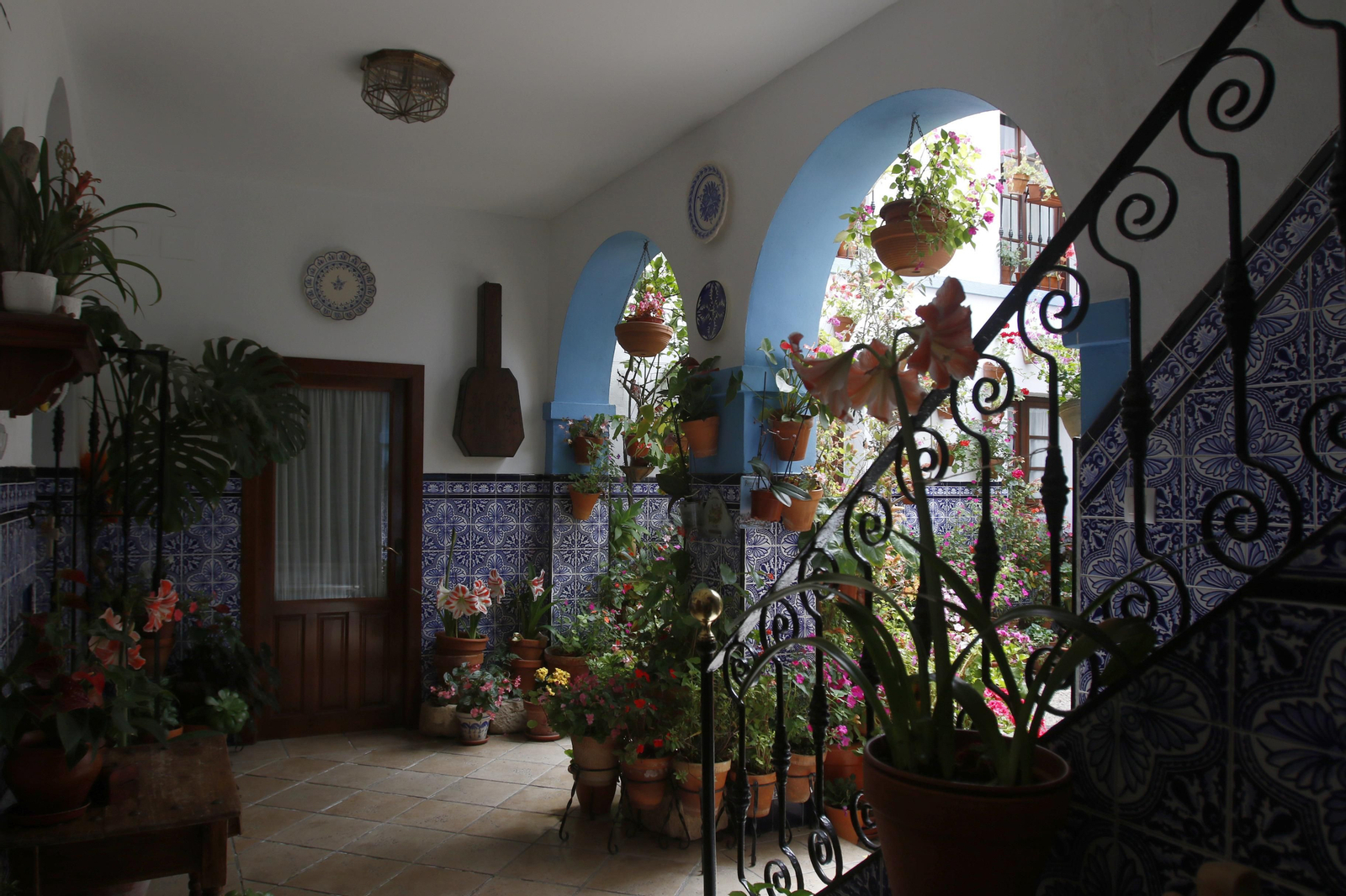 Los Patios de Córdoba en tiempos de crisis: Pedro Fernández, 6