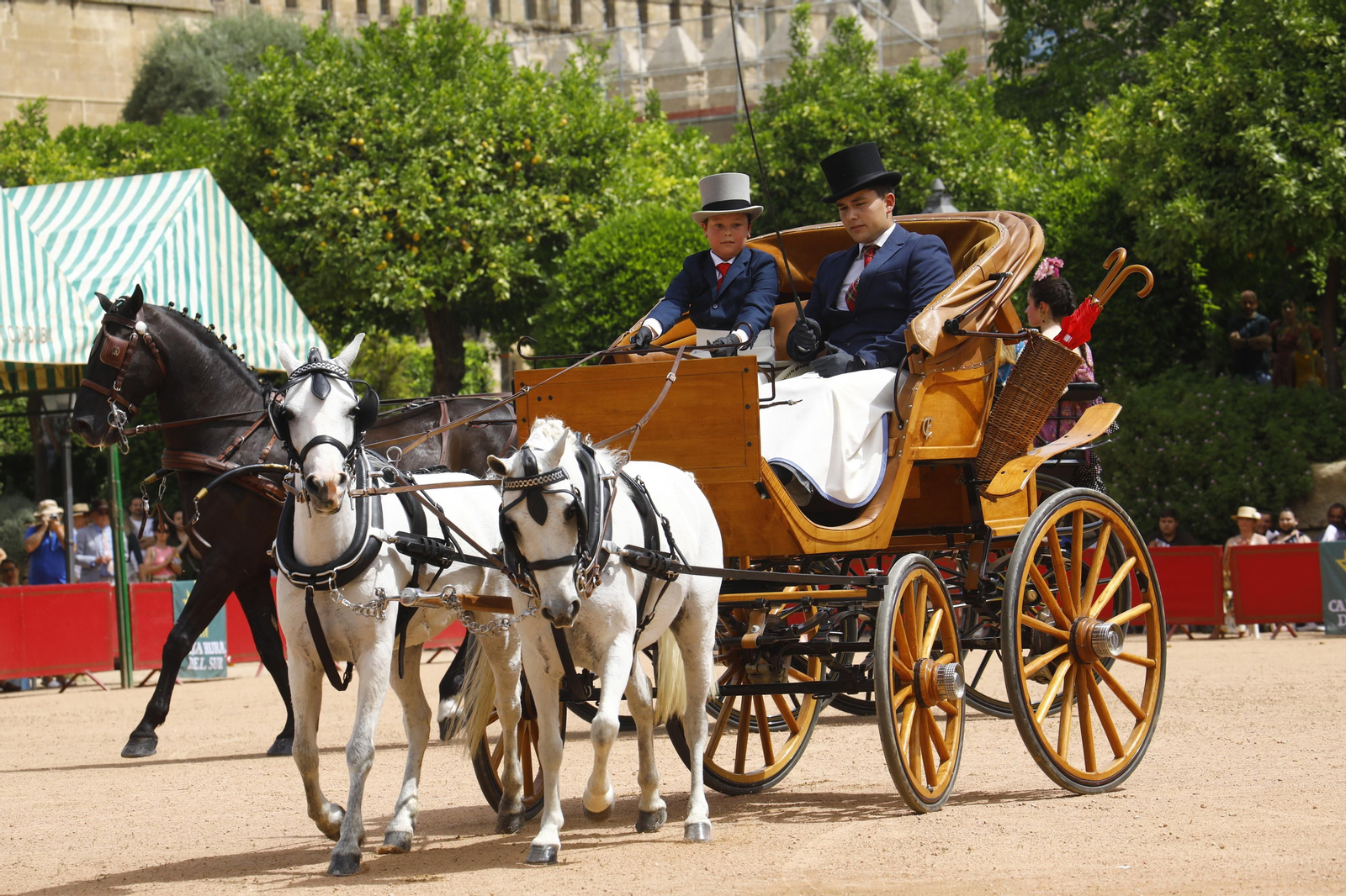 La Exhibición de Carruajes de Tradición de la Feria de Córdoba, en imágenes