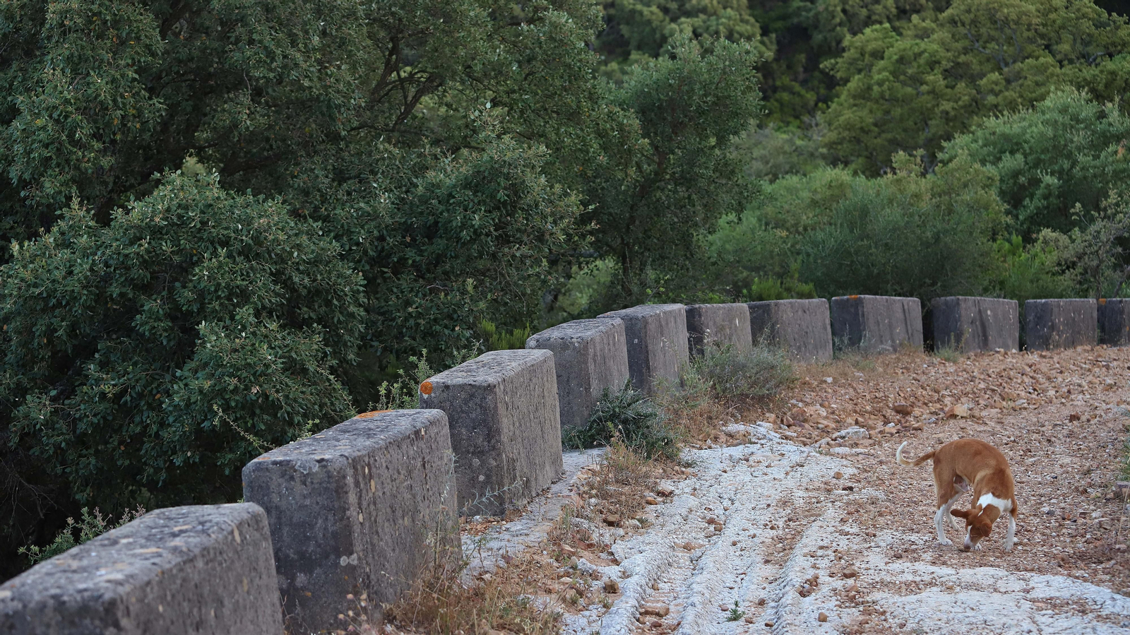 Las mejores fotos de la Senda de los Prisioneros en Algeciras