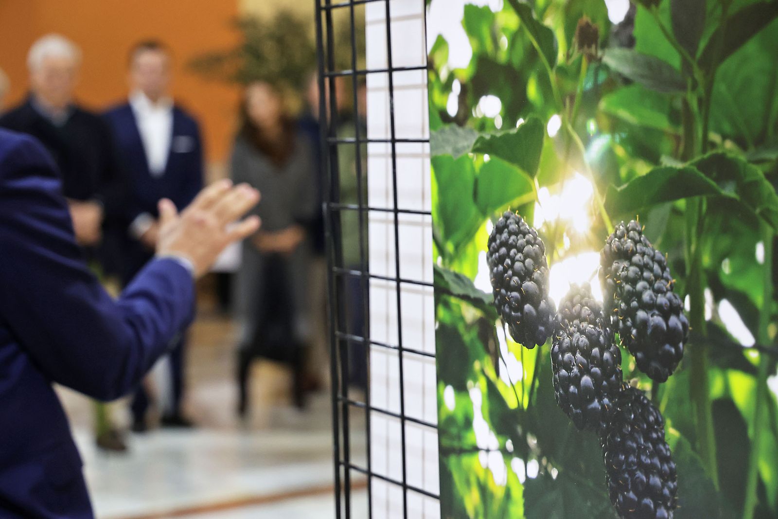 Exposición del I Rally Fotográfico de La Canastita