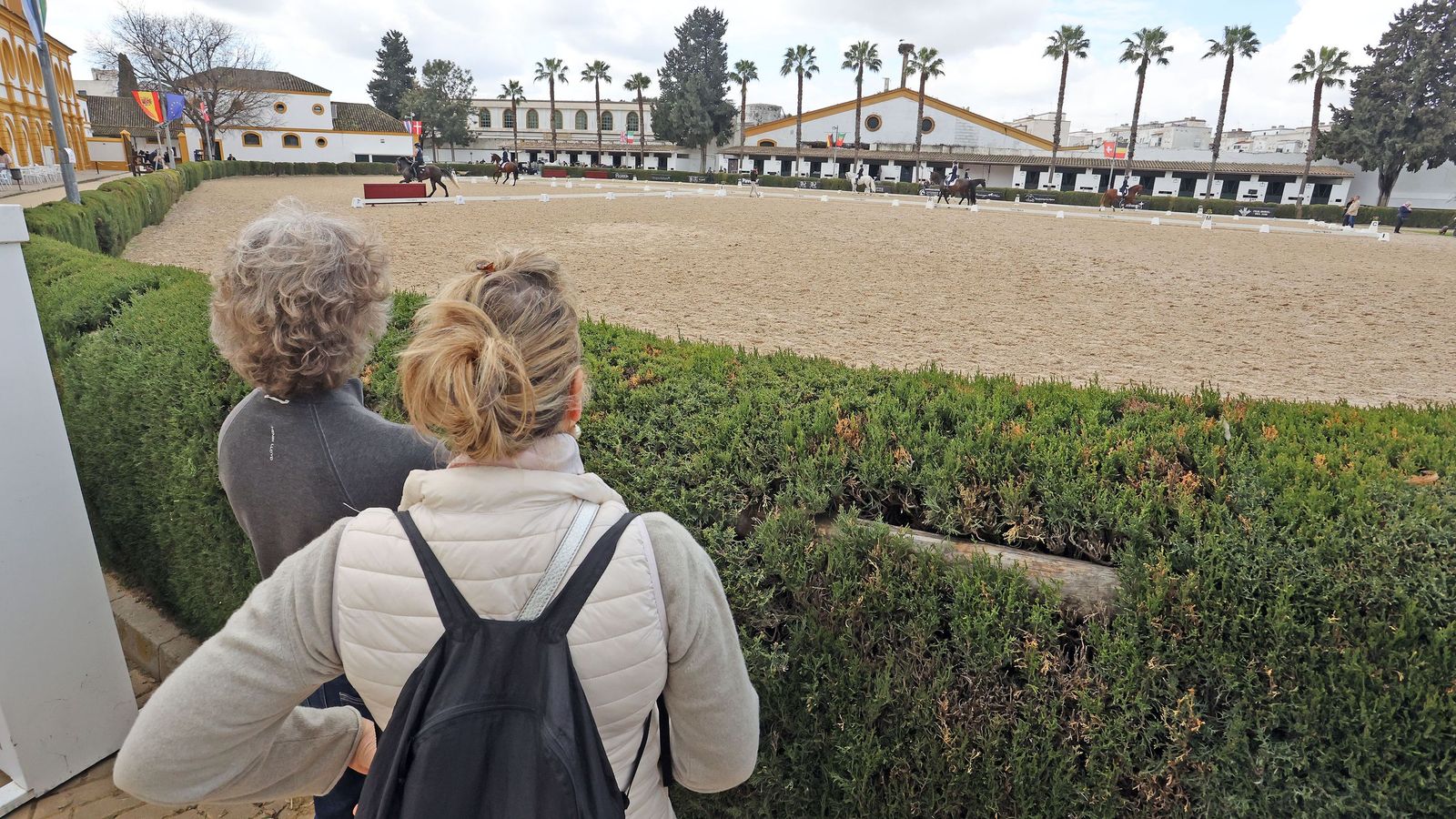 Concurso Internacional de Doma Clásica en La Real Escuela de Jerez