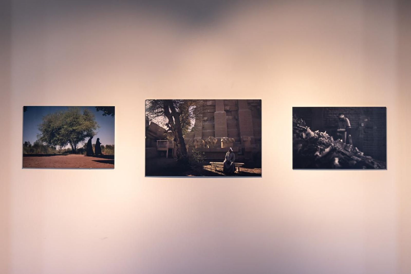 Egipto en Jaén: los bosques sagrados del país del Nilo cobran vida en imágenes