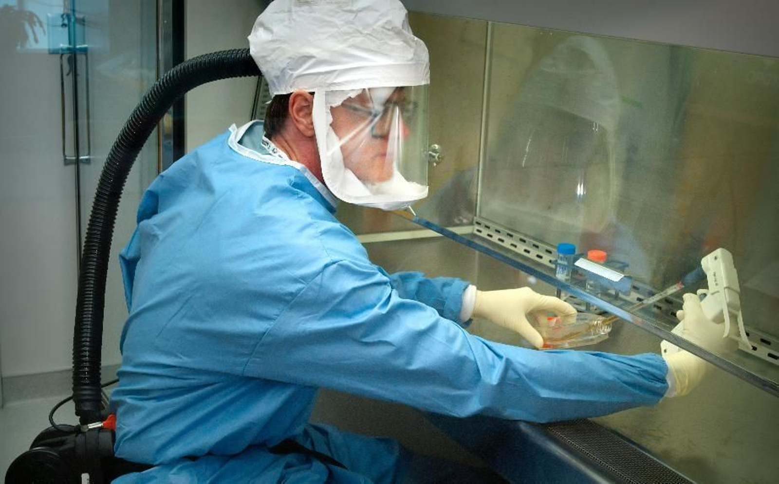 Análisis de muestras en laboratorio