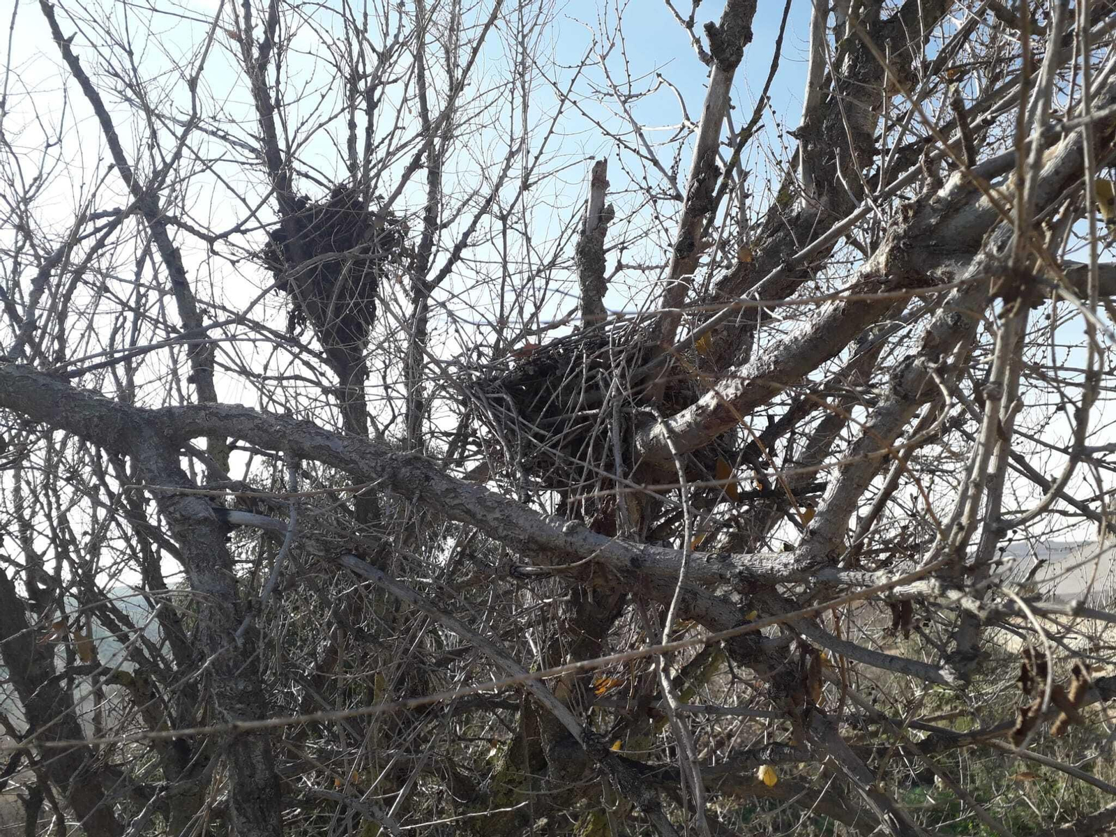 La laguna de Jarata de Montilla, en fotografías
