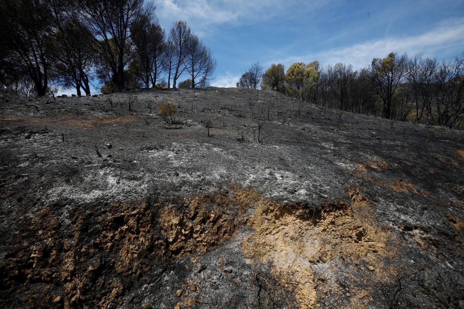 Zona cero del incendio de la Sierra de Córdoba