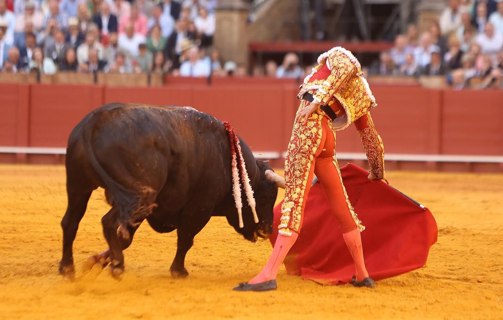 Las mejores imágenes de la corrida de toros de Juan Ortega, Roca Rey y Pablo Aguado