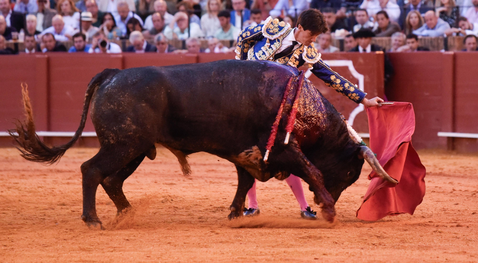 Las imágenes de la corrida de toros de El Fandi, Manuel Escribano y Esaú Fernández