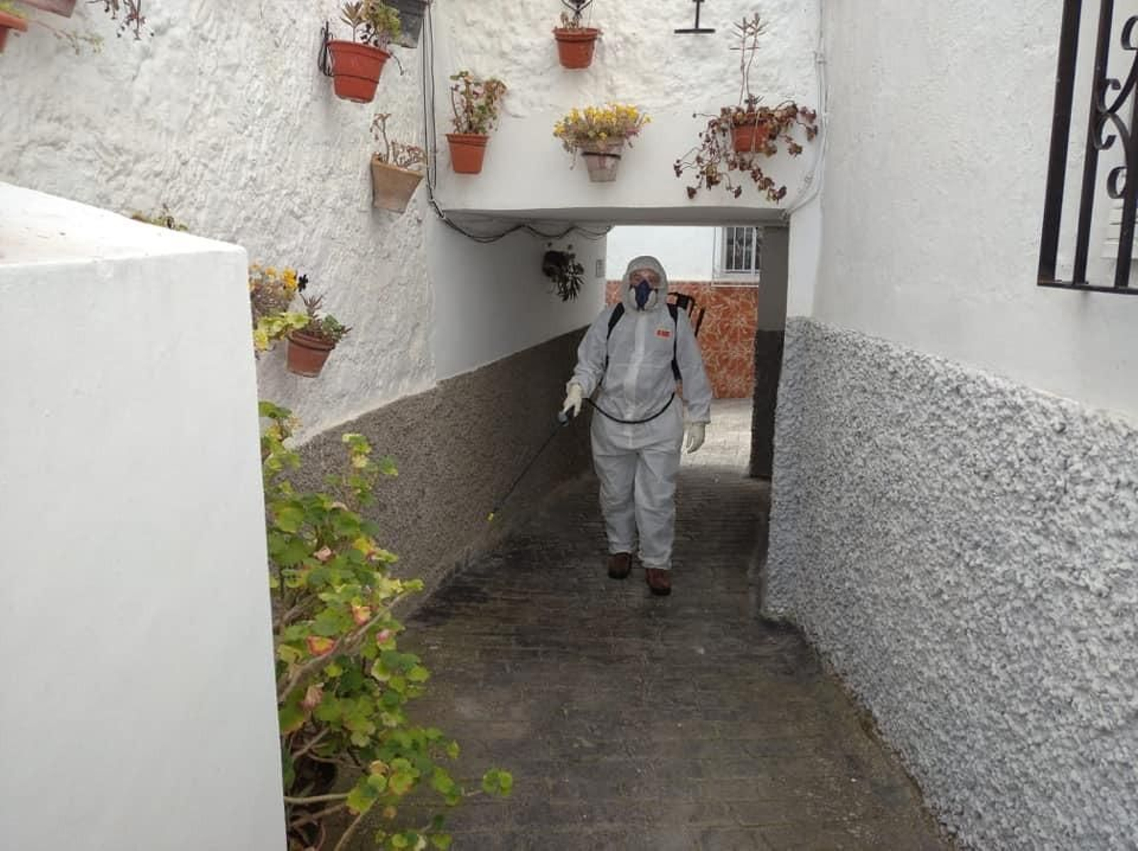 Tareas de desinfección en Algarinejo