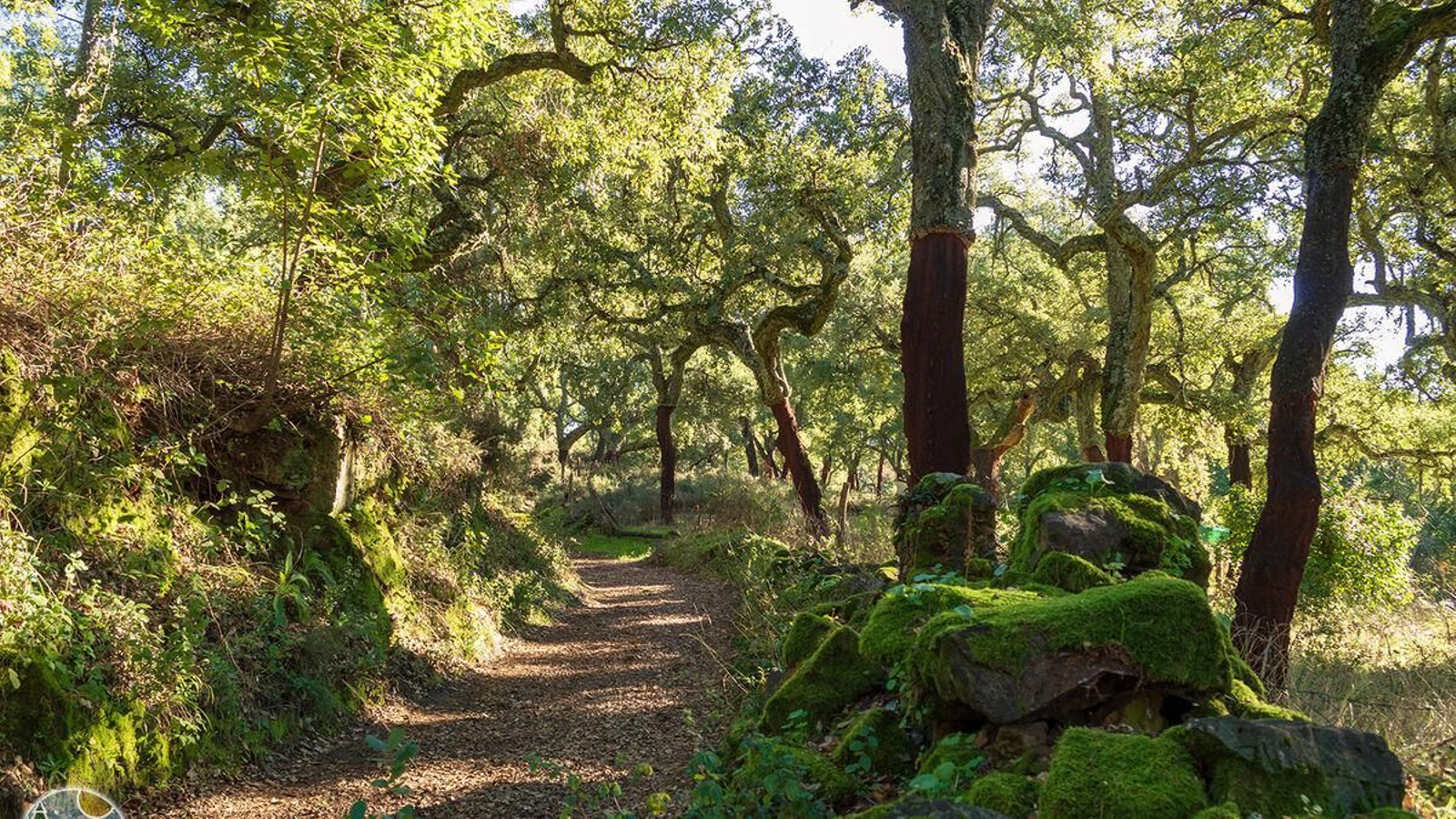 Lugares únicos para el turismo activo