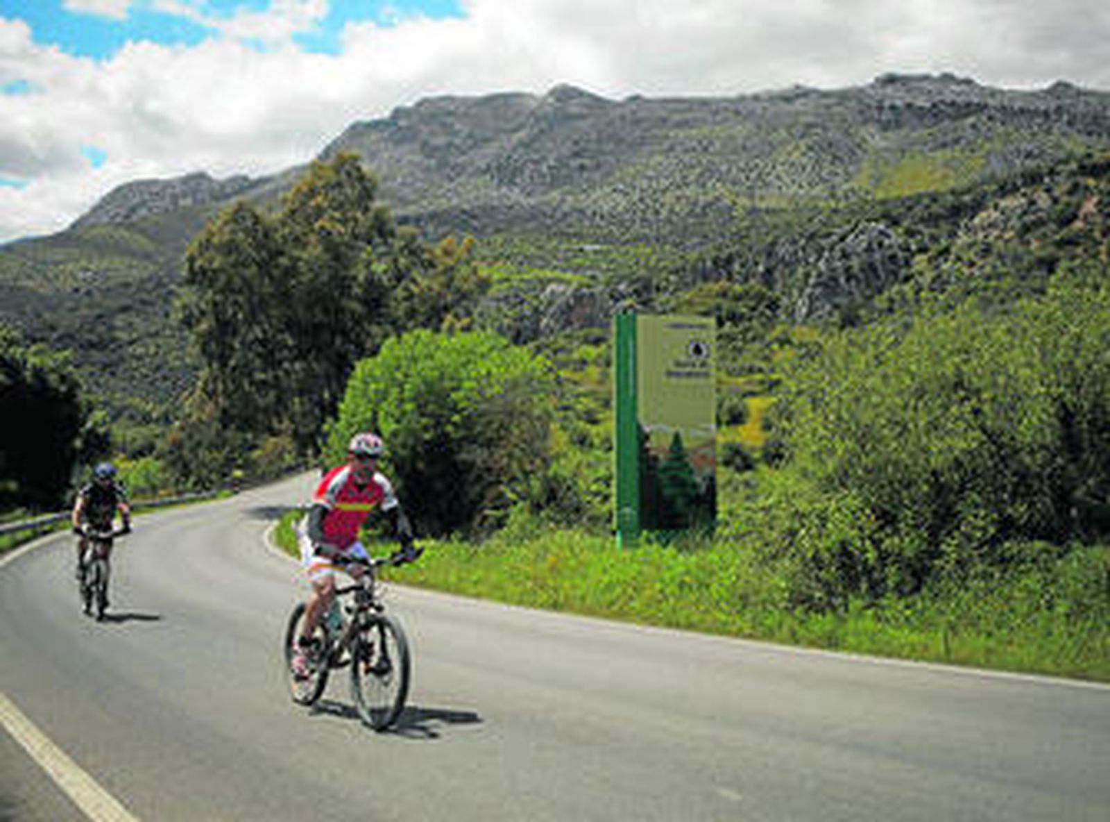 Dos ciclistas suben por la carretera del Parque Natural Sierra de Grazalema.