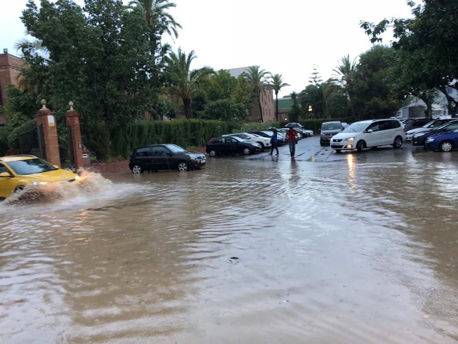 Entorno del Colegio de Médicos de Málaga Capital