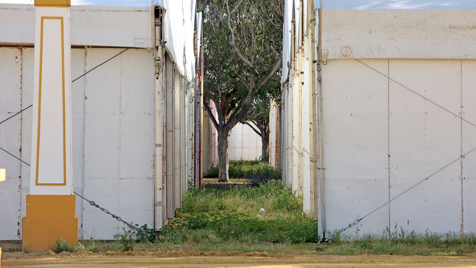 Preparativos de la 'Feria del Caballo 2022'